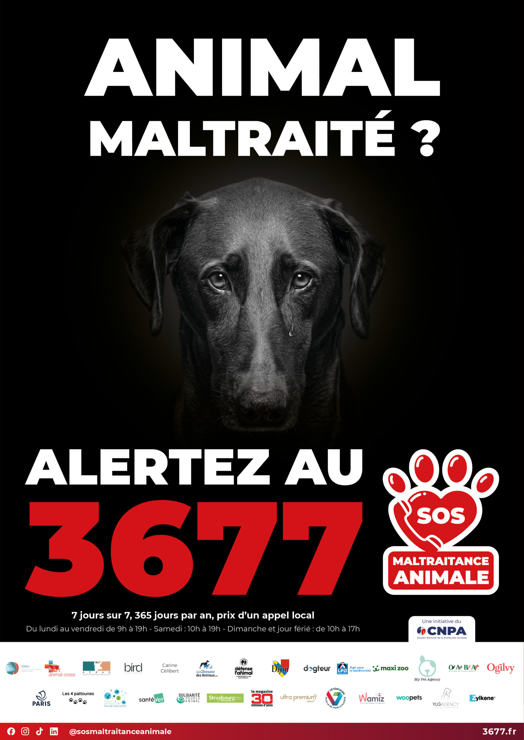 3677-SOS-maltraitance-animale-affiche-Chien