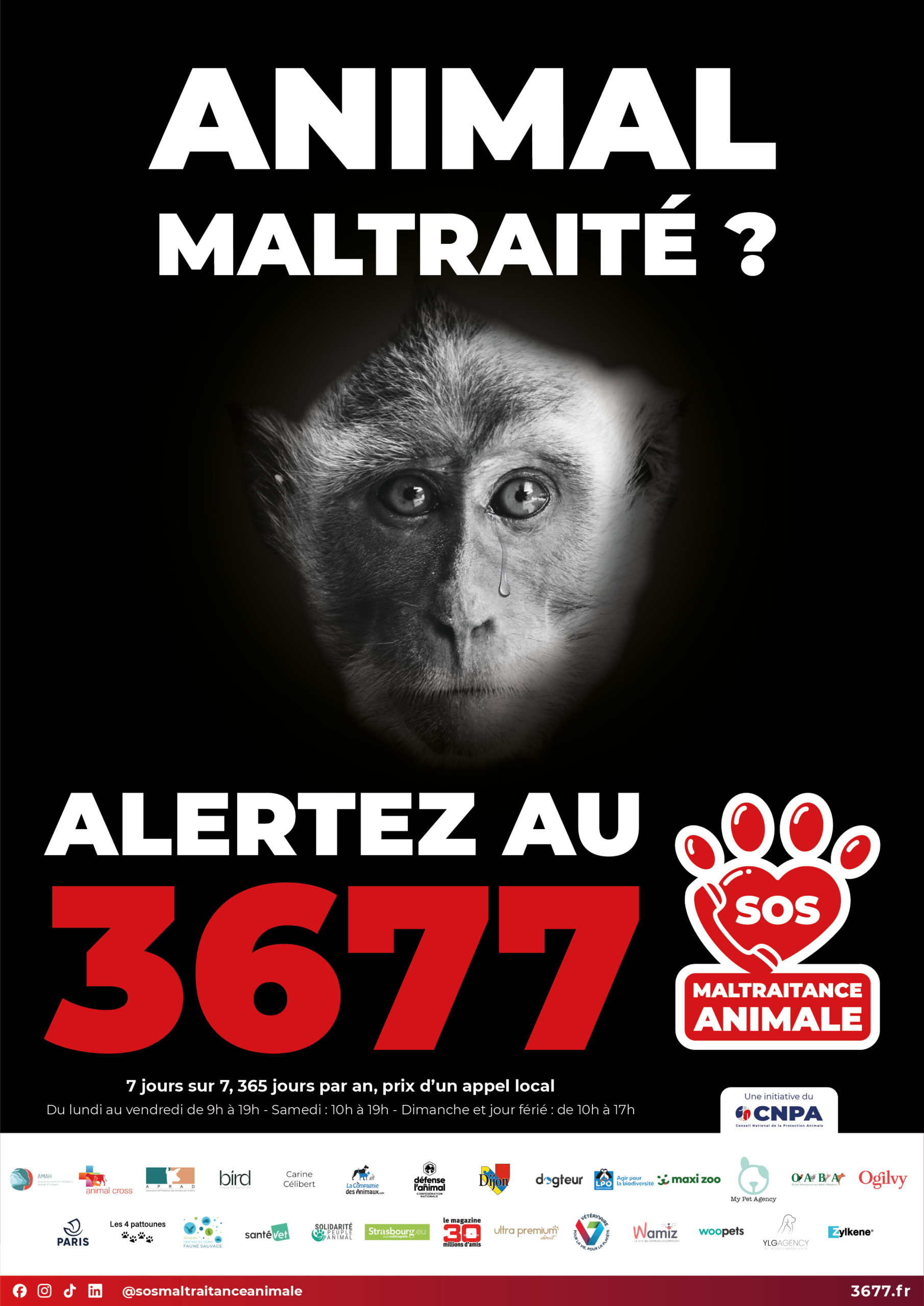 3677-SOS-maltraitance-animale-affiche-Macaque