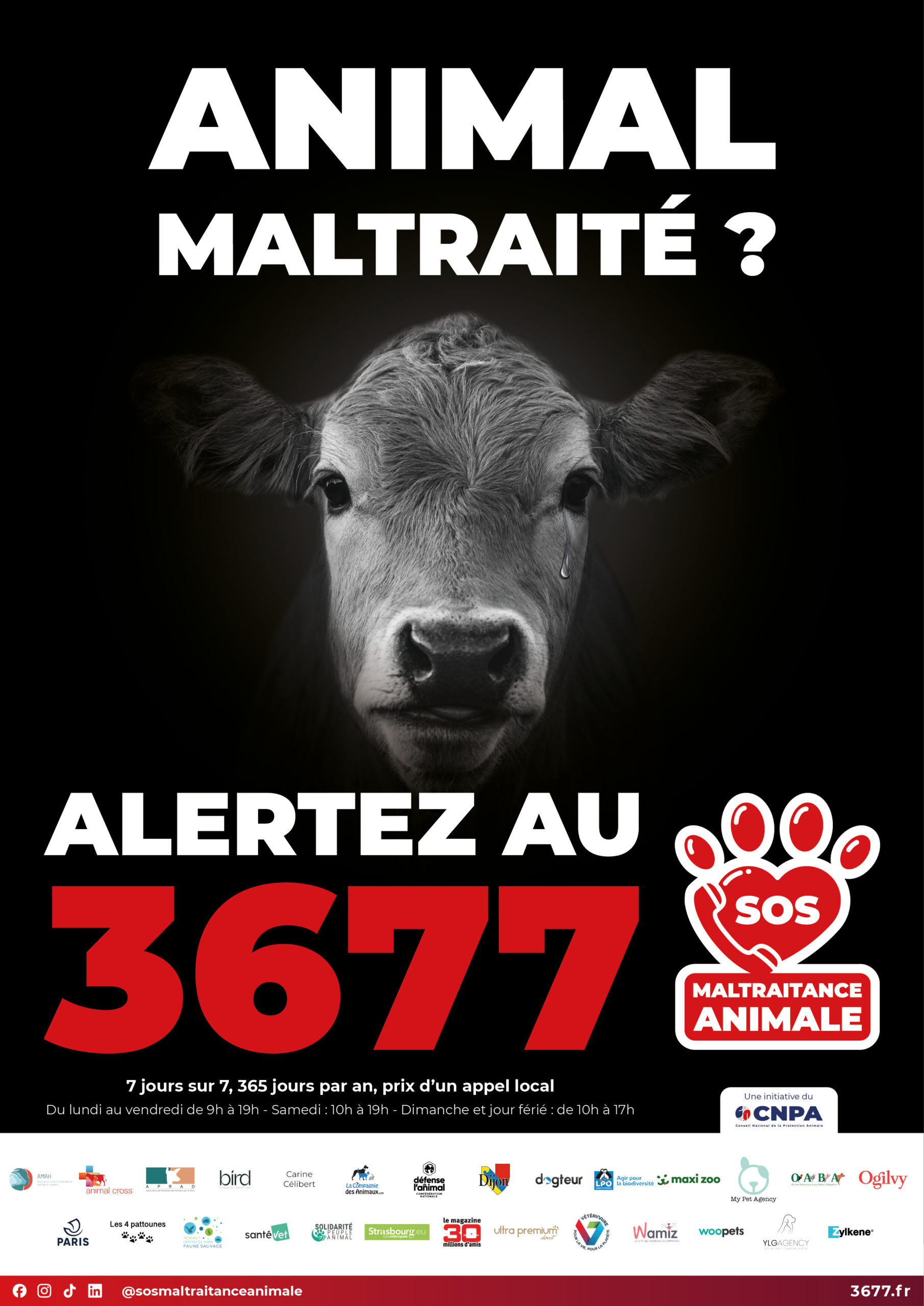 3677-SOS-maltraitance-animale-affiche-Vache