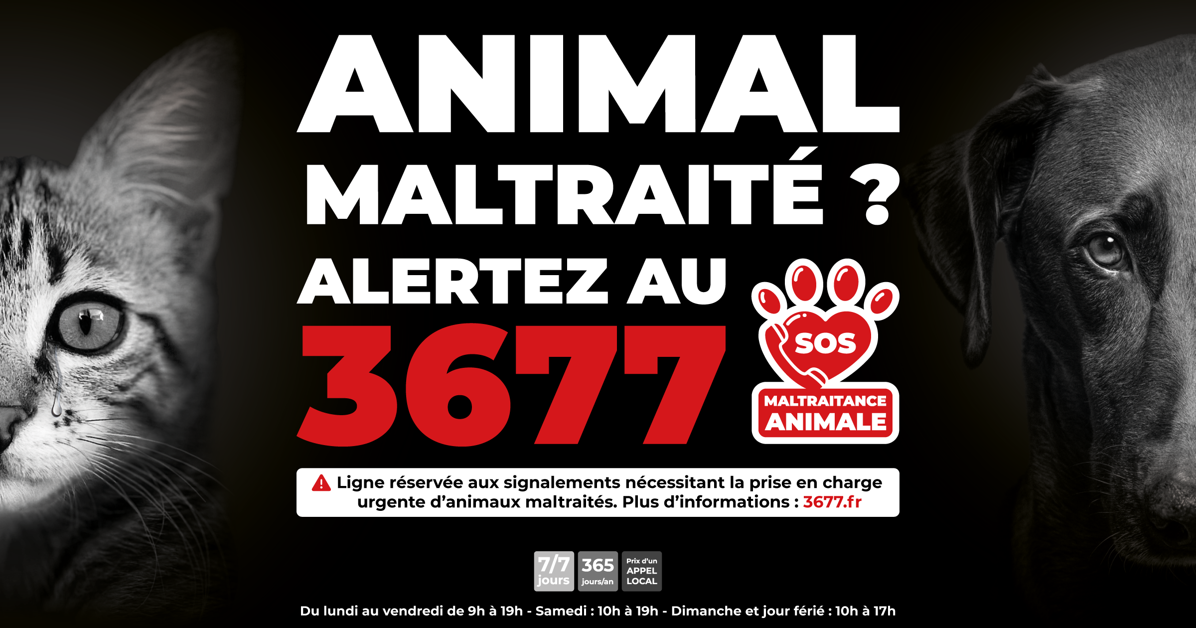 Charte d’engagement des enquêteurs bénévoles • 3677 • SOS Maltraitance ...