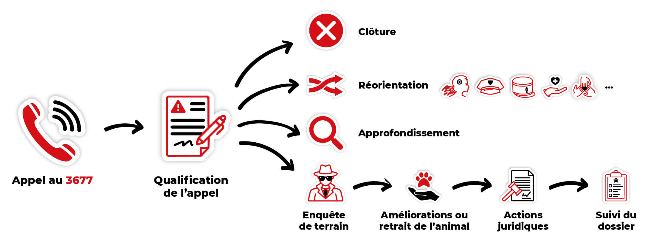 3677-SOS-maltraitance-animale-Schema-chaine-de-fonctionnement