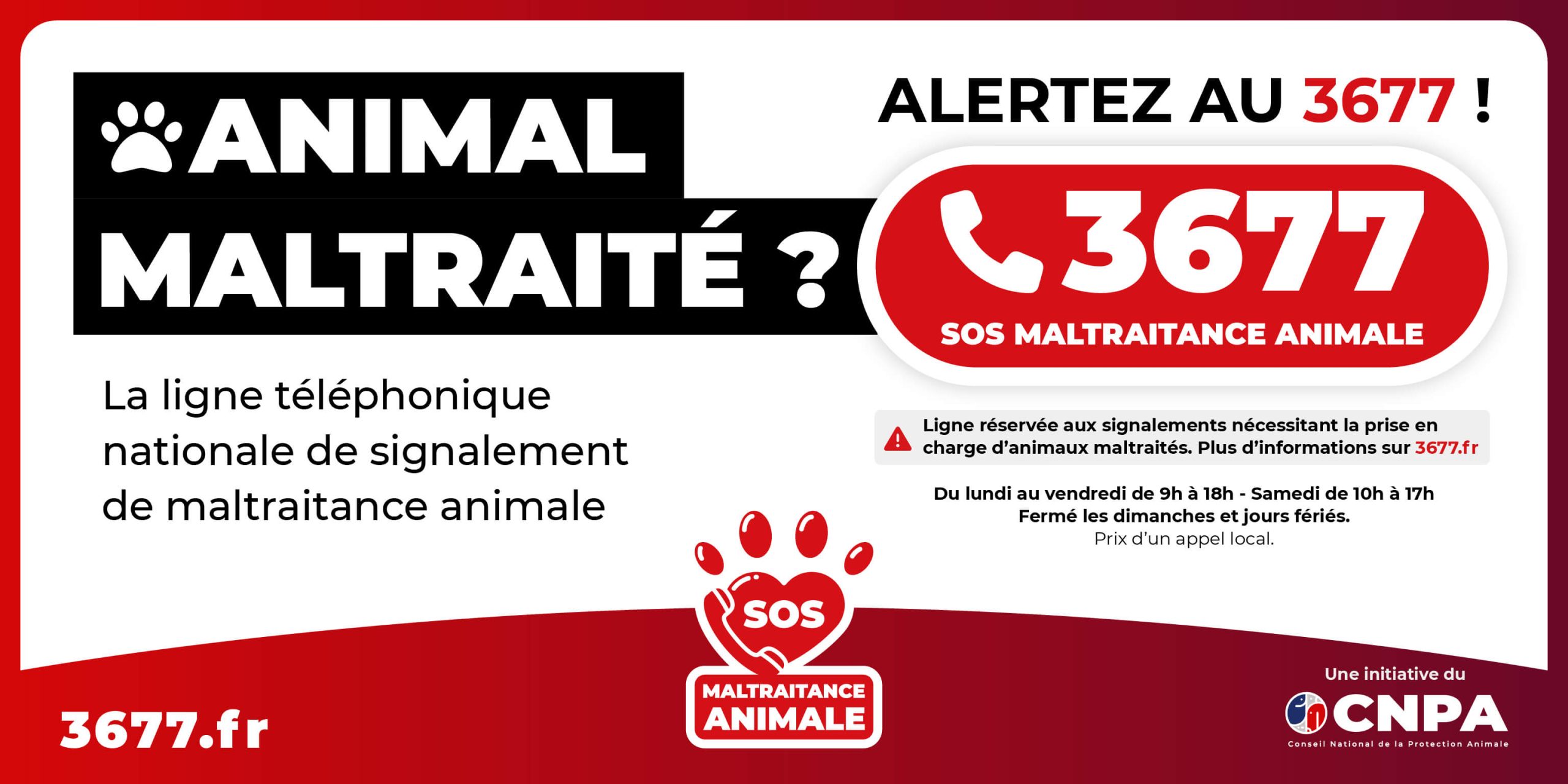 3677-SOS-Maltraitance-Animale-vignette-ligne-telephonique