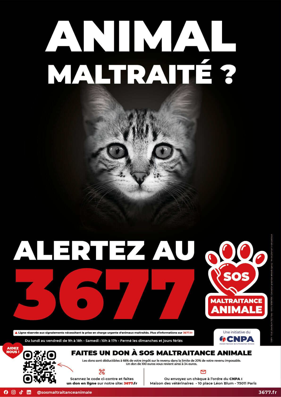 3677-SOS-Maltraitance-Animale-Affiche-Chat