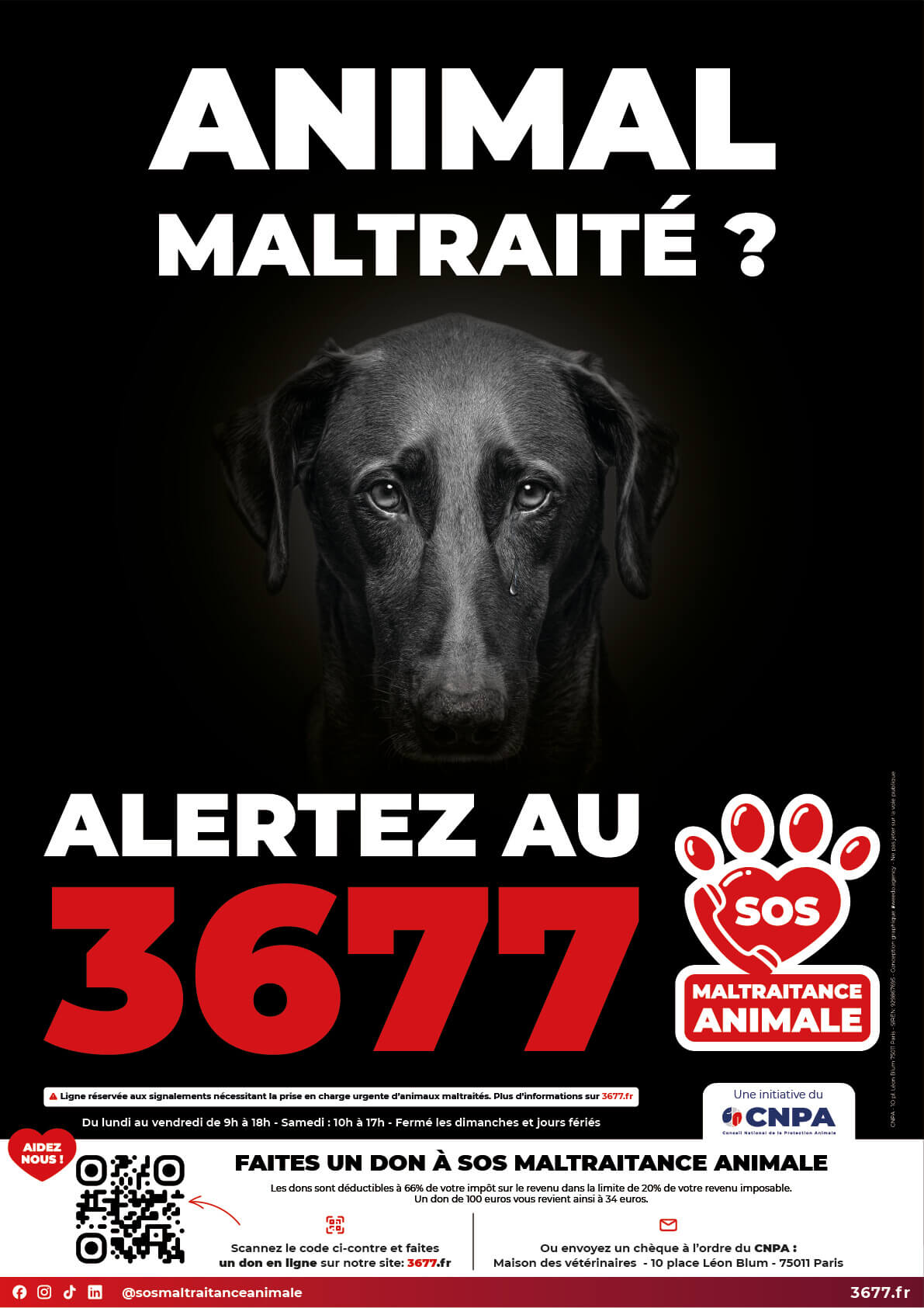 3677-SOS-Maltraitance-Animale-Affiche-Chien