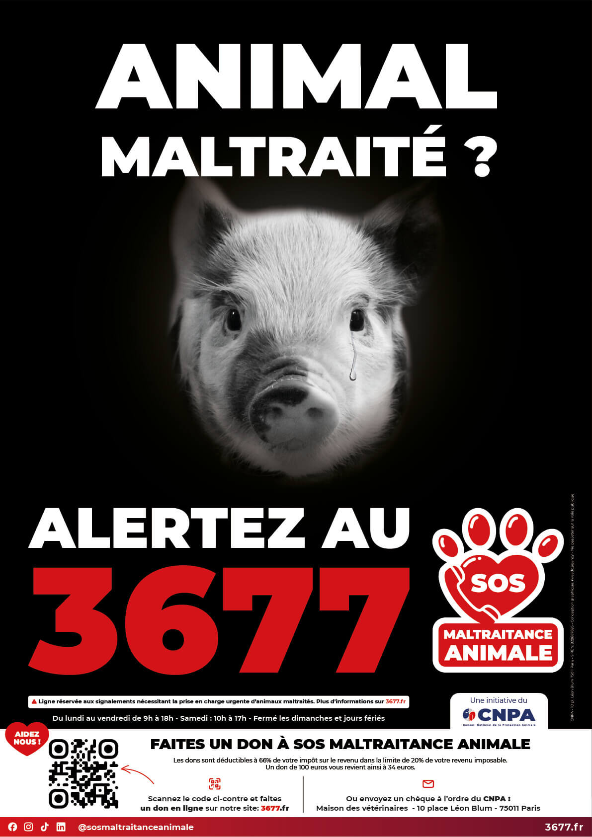 3677-SOS-Maltraitance-Animale-Affiche-Cochon
