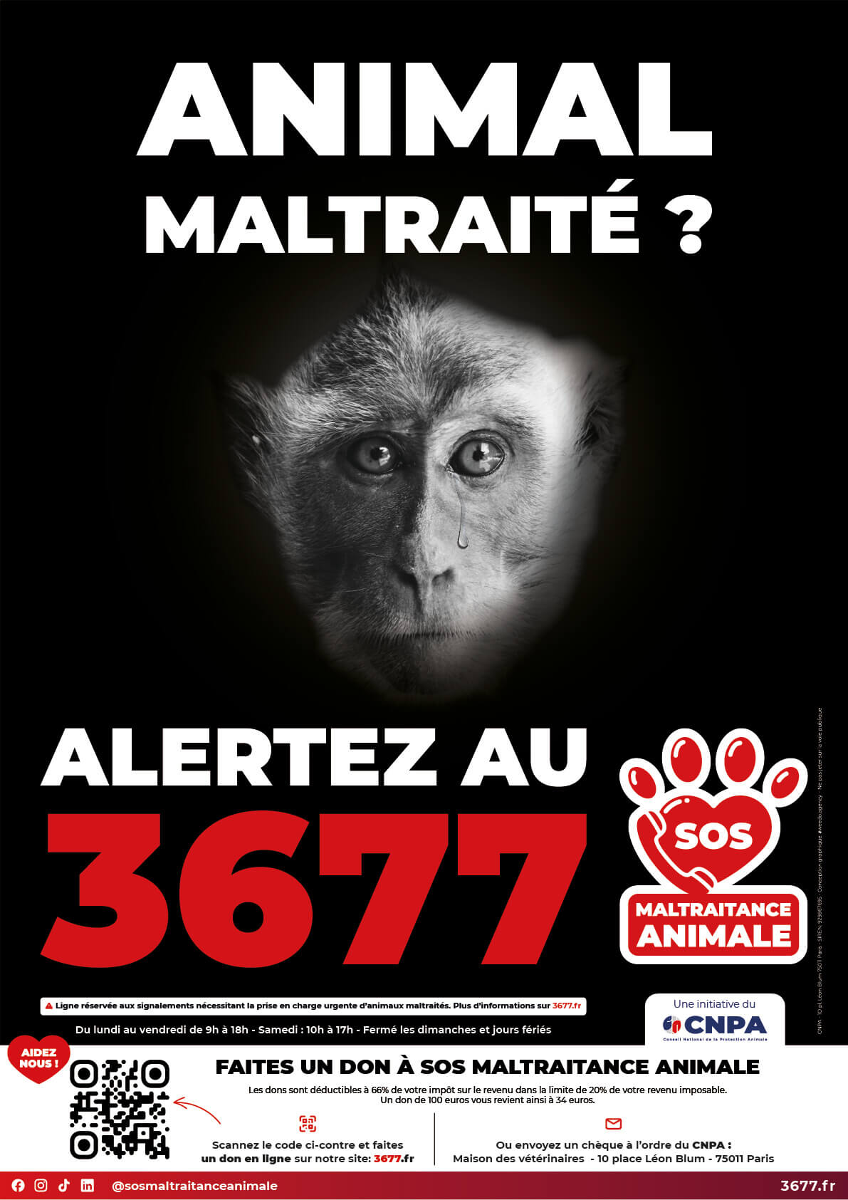 3677-SOS-Maltraitance-Animale-Affiche-Macaque