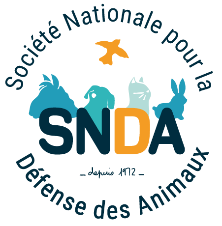 Logo sans fond