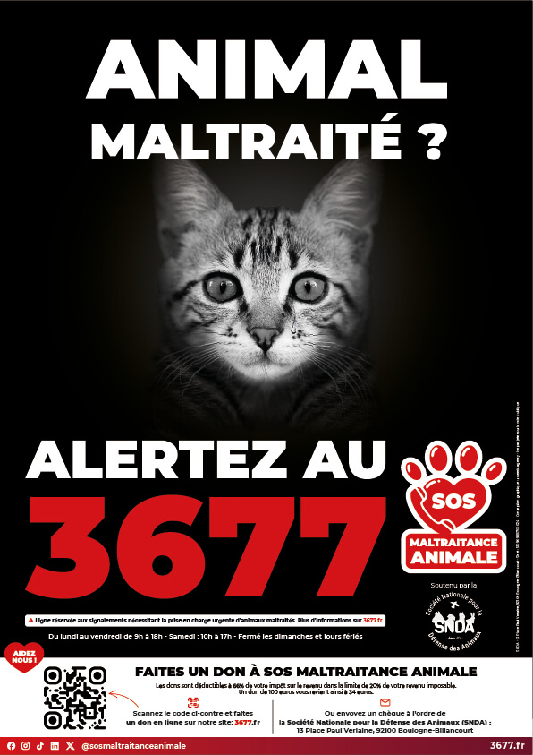 3677-SOS-Maltraitance-Animale-Affiches-SNDA-Chat