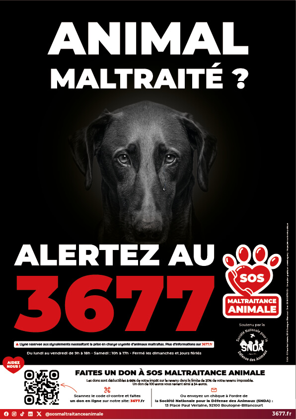 3677-SOS-Maltraitance-Animale-Affiches-SNDA-Chien