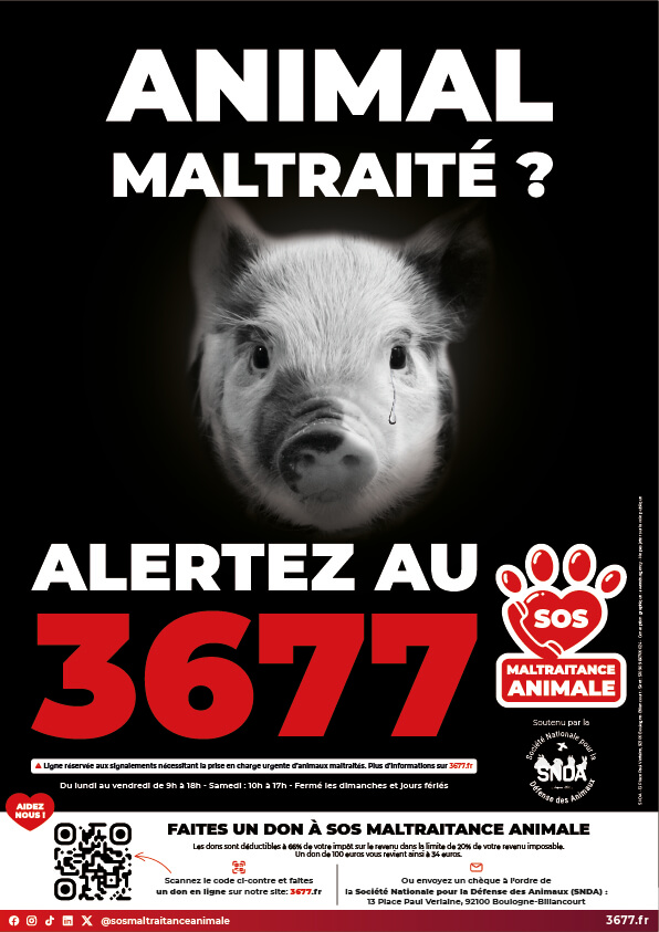 3677-SOS-Maltraitance-Animale-Affiches-SNDA-Cochon