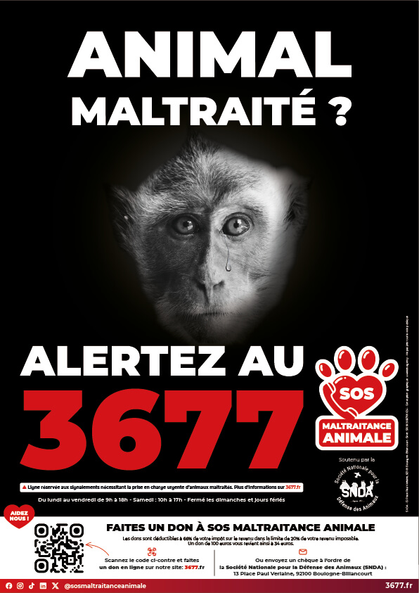 3677-SOS-Maltraitance-Animale-Affiches-SNDA-Macaque