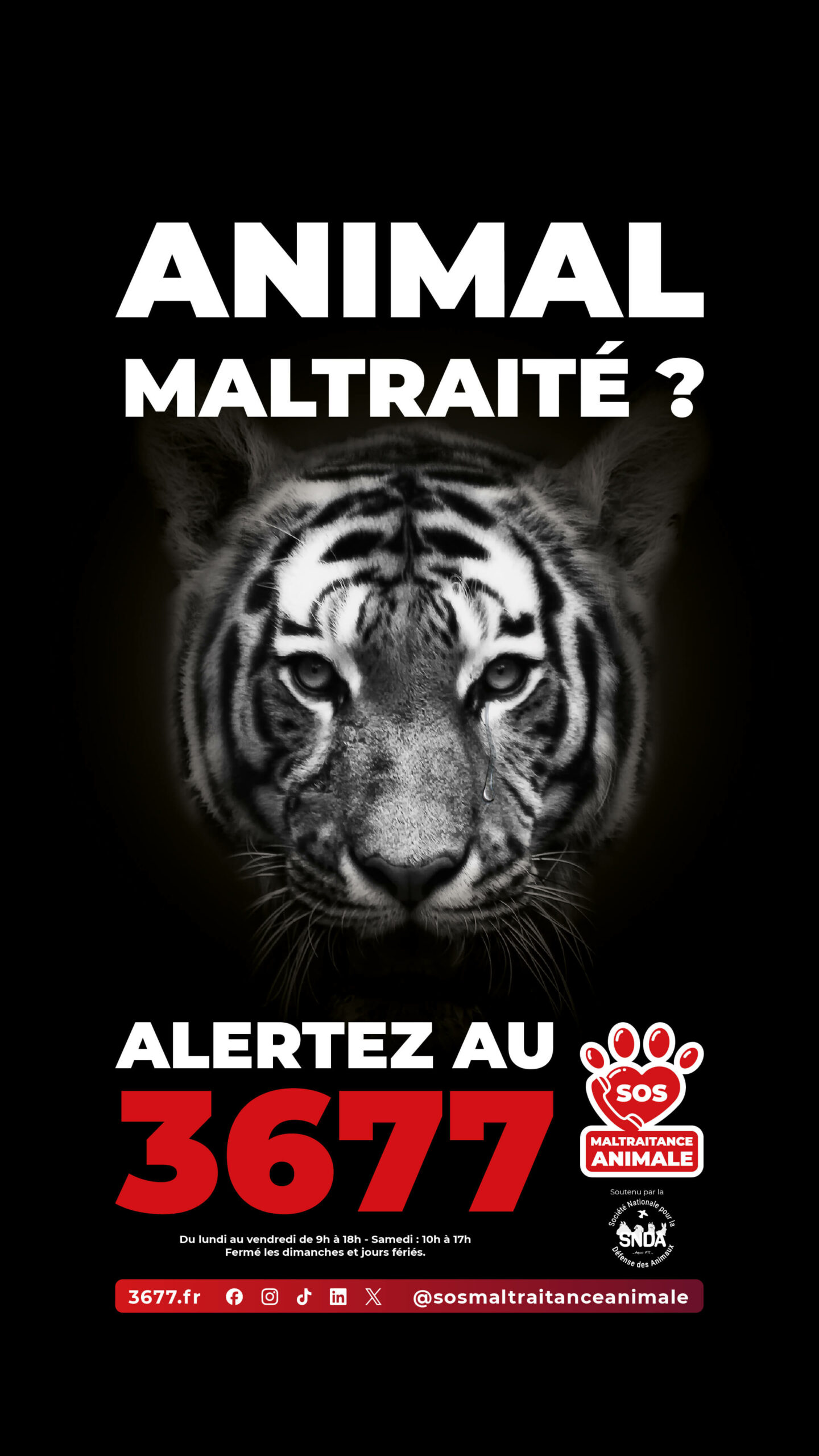 3677-SOS-Maltraitance-Animale-SNDA-post-Story-tigre