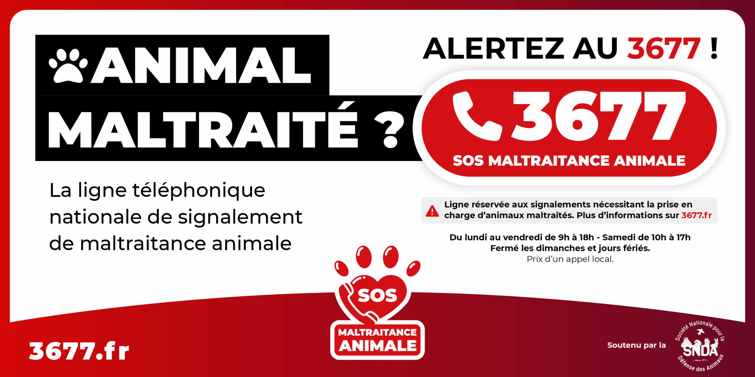 3677-SOS-Maltraitance-Animale-vignette-ligne-telephonique-SNDA